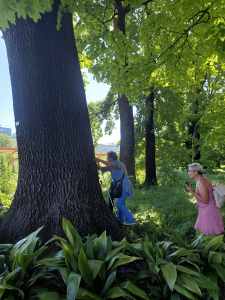 Posjet Botanickom vrtu